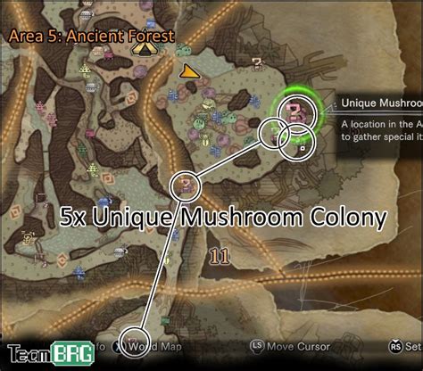 monster hunter world unique locations.